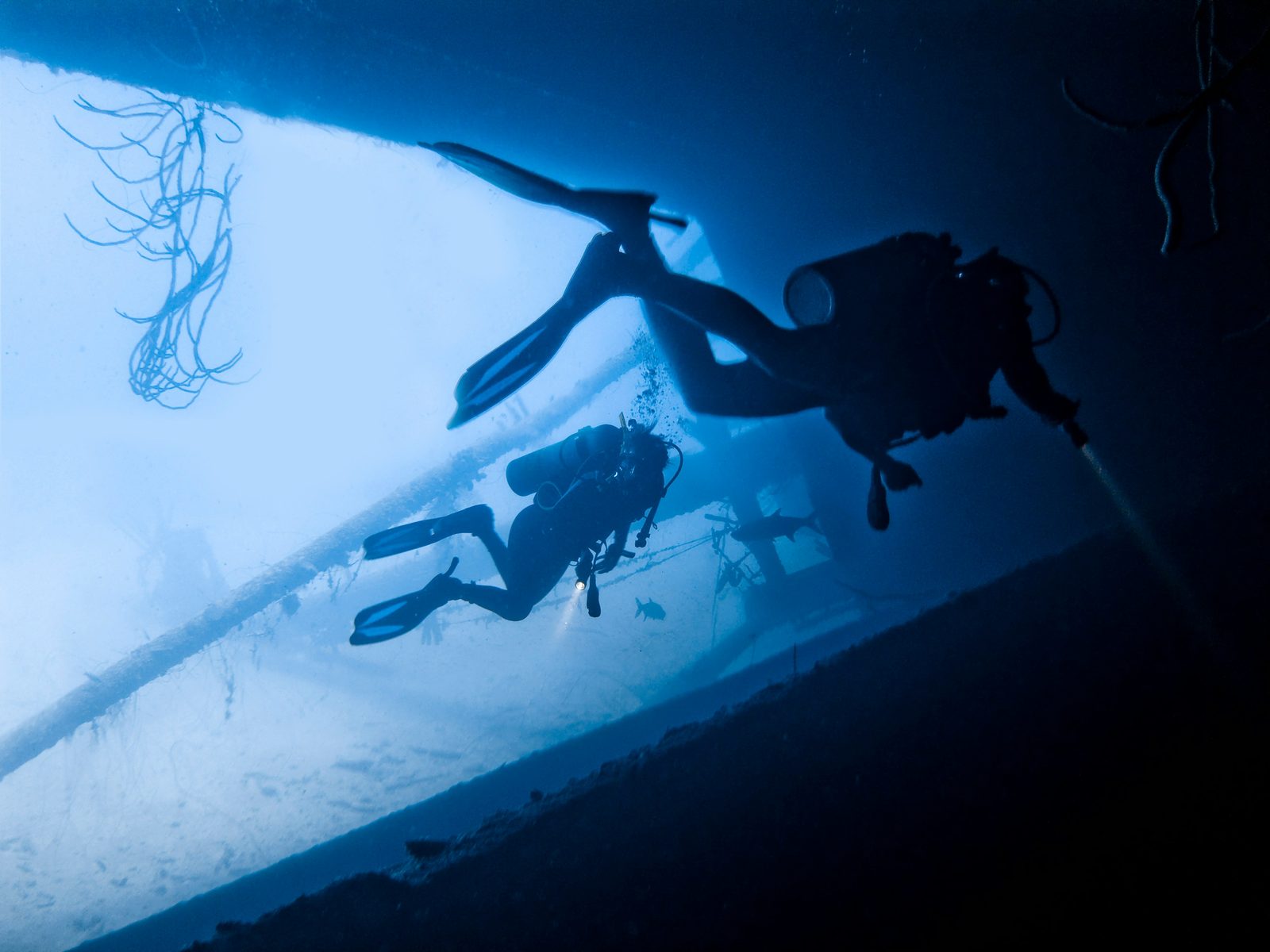 Ice Diver